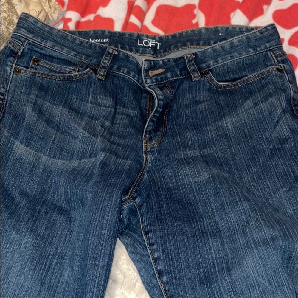 Ann Taylor LOFT Jeans